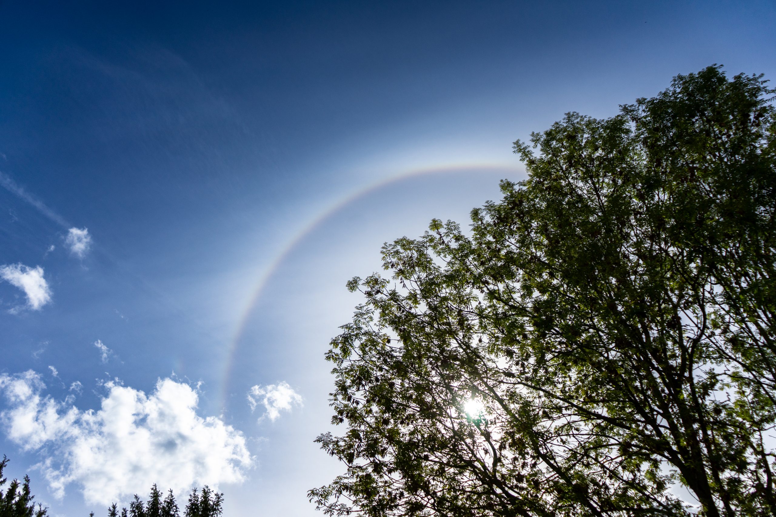 TCK_50JahrFeier_Sonntag_002